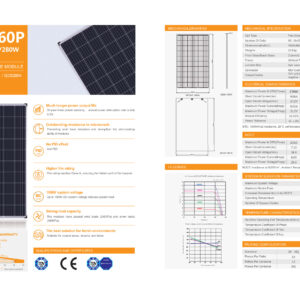 Alternative view of Tấm pin mặt trời Sunergy DOU 60P 270W–285W